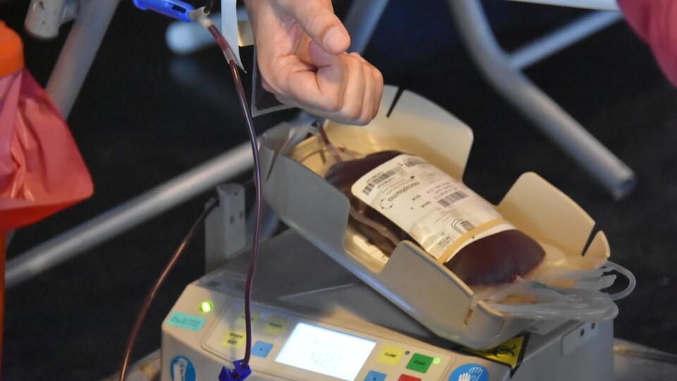 Kızılay'dan kan bağışı ve HIV iddialarına ilişkin açıklama