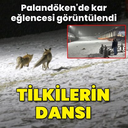  Palandöken'de tilkilerin kar eğlencesi görüntülendi