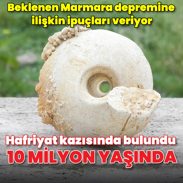Bağcılar'da bulundu: 10 milyon yıllık! 'Beklenen Marmara depremine ilişkin ipuçları veriyor'