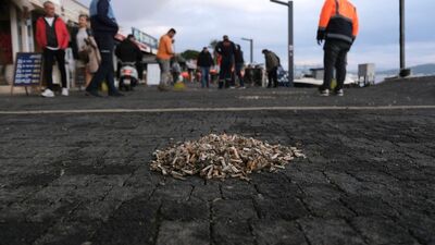 Ayvalık'ta yere çöp ve izmarite ceza geliyor