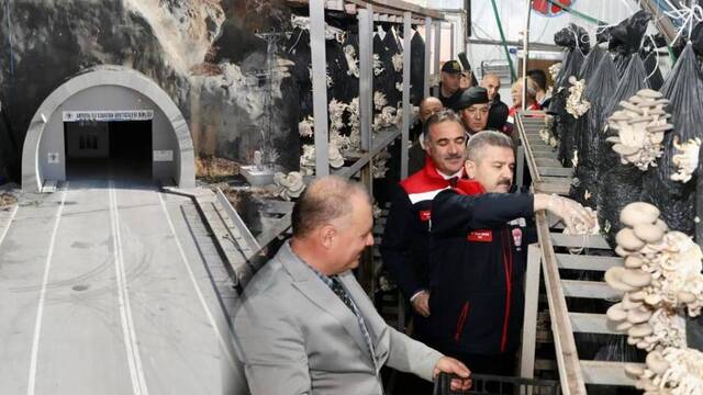 Atıl tünel mantar üretim merkezi oldu