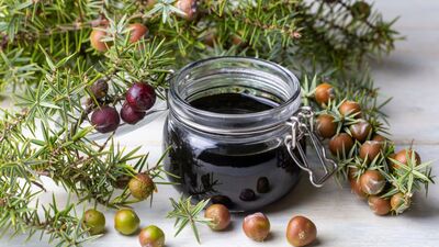 Andız pekmezinin sağlığa faydaları