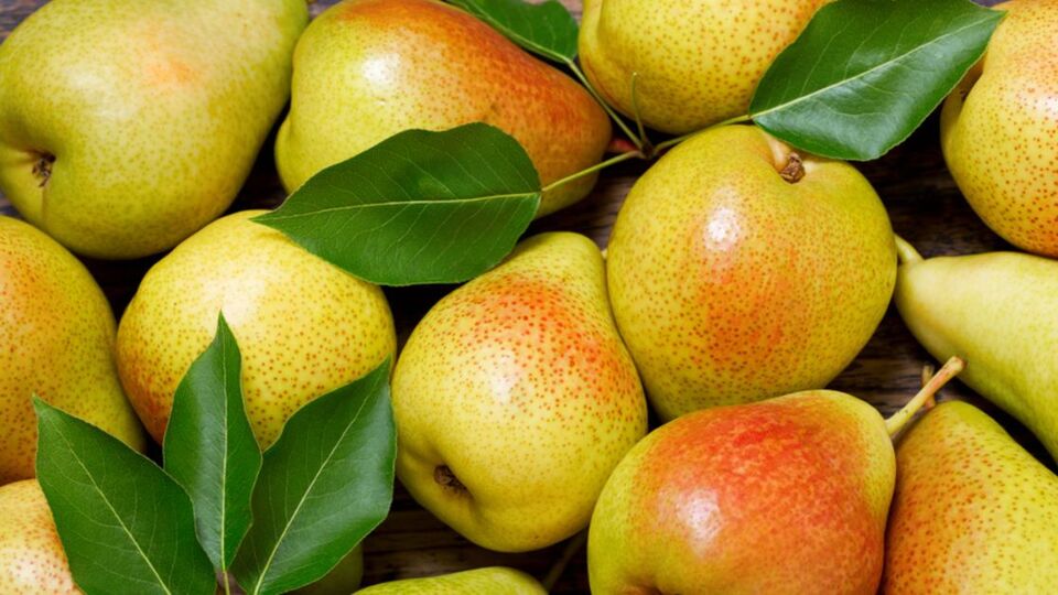 Armutun faydaları ve zararları