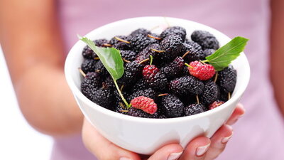 Düzenli dut yemenin faydaları