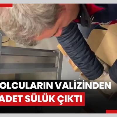 Rus yolcuların valizinden 5 bin adet sülük çıktı / Görüntüyle.
