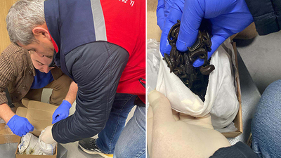 Rus yolcuların valizinden çıktı