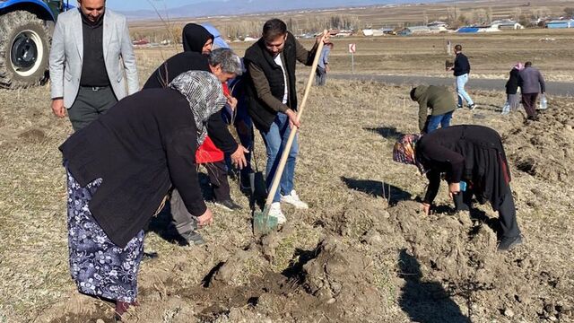 Su sorunu çözülünce kadınlar 300 fidan dikti
