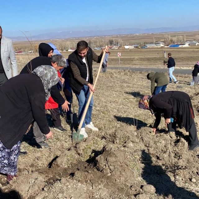 Su sorunu çözülünce kadınlar 300 fidan dikti