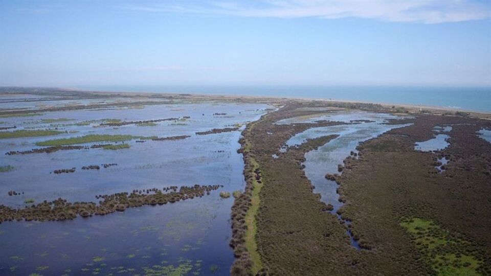 Kızılırmak Deltası'ndaki istilacı türler araştırılıyor