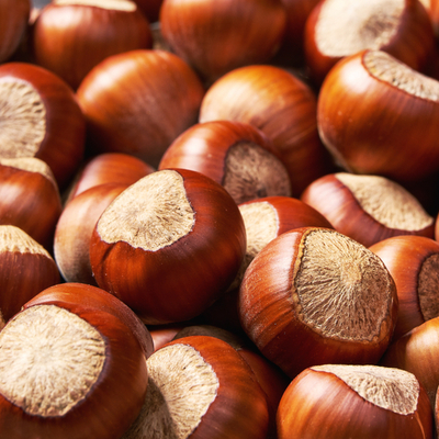 Dünyanın en iyi 6 fındığı