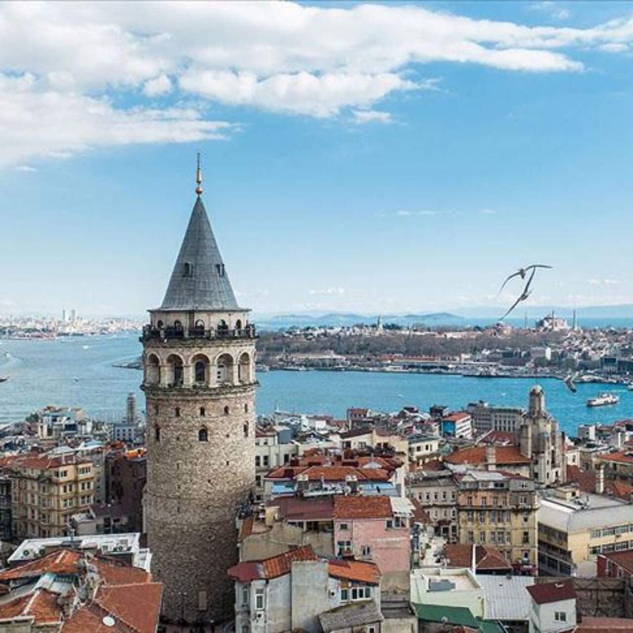 Ekimde yabancı turist sayısı arttı