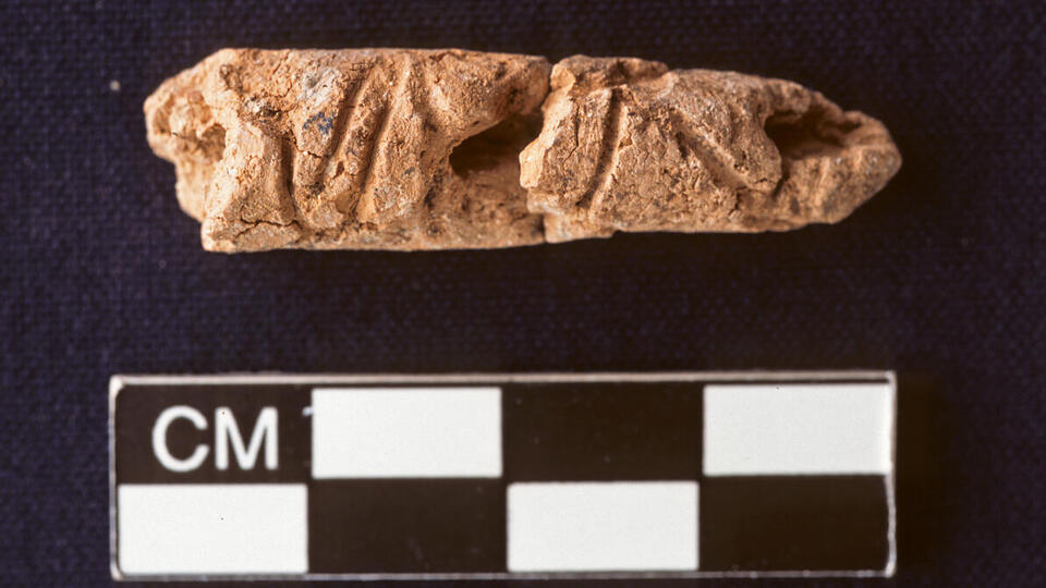 Dünyanın bilinen en eski alfabesi keşfedildi