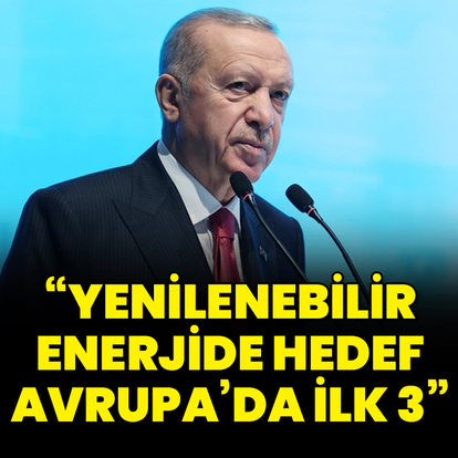"Yenilenebilir enerjide hedef Avrupa'da ilk 3"