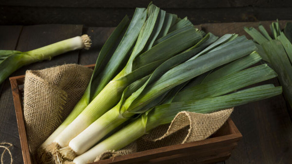Pırasanın sağlığa faydaları