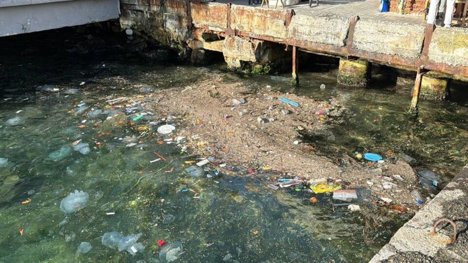 Beykoz'da çöpler kıyaya vurdu