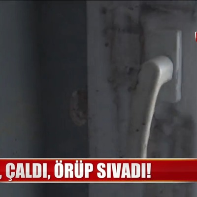 Böyle hırsızlık görülmedi!