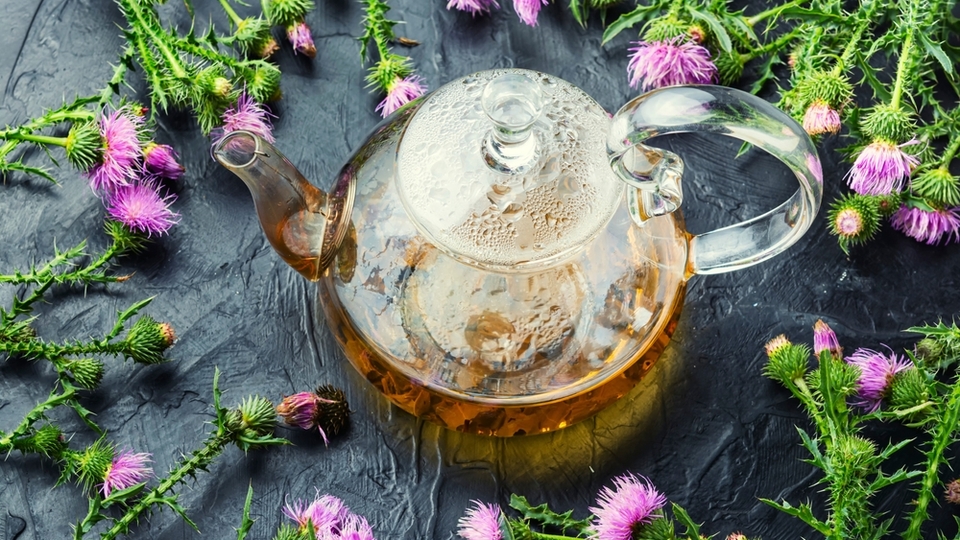 Antioksidan bakımından zengin çaylar