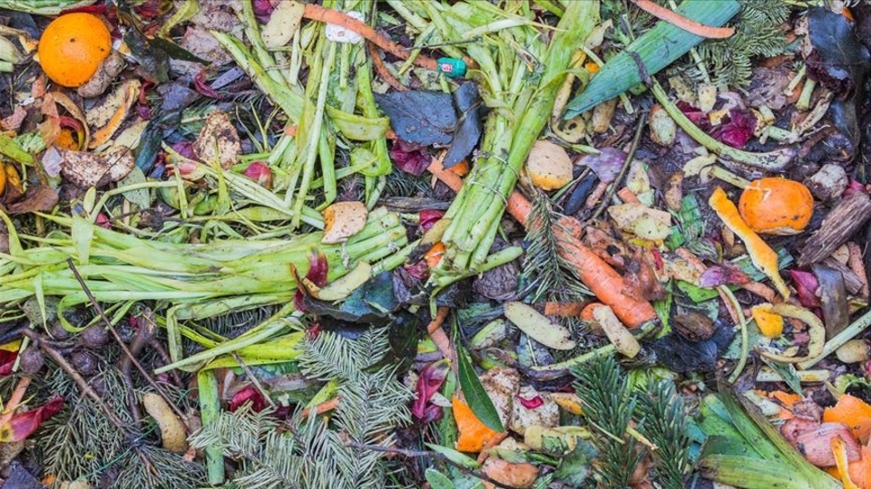 "Ülkemizde her yıl 23 milyon ton gıda israf ediliyor"