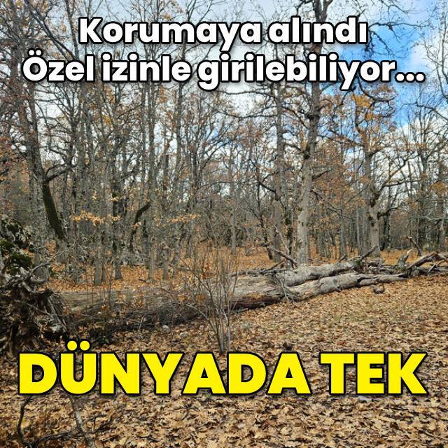 Özel izinle girilebiliyor... Dünyada tek