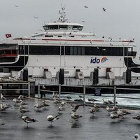 İptal olan İDO-BUDO seferleri listesi 23 Kasım