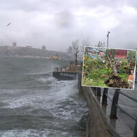 Ağaçlar devrildi! Hava ve deniz seferleri aksadı! Marmara'da fırtına!