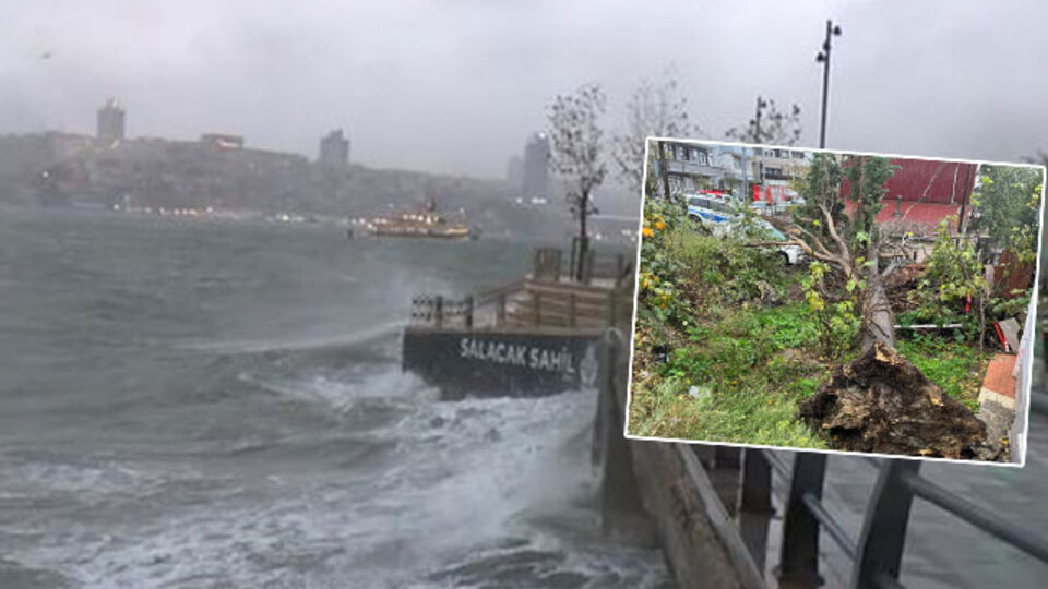Ağaçlar devrildi! Hava ve deniz seferleri aksadı! Marmara'da fırtına!