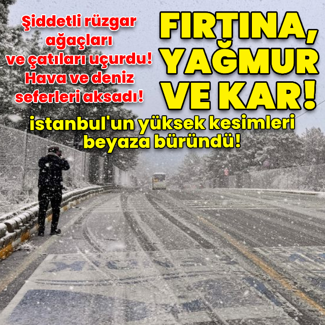 Ağaçlar devrildi! Hava ve deniz seferleri aksadı! Marmara'da fırtına!