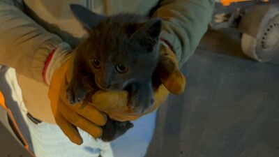 Aracın altında 850 km'lik yolculuk!