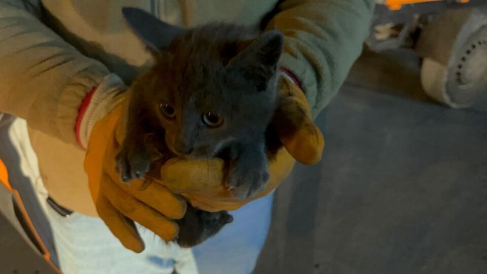 Aracın altında 850 km'lik yolculuk!