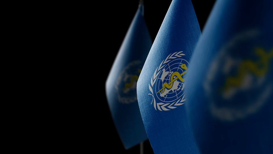 DSÖ danışmanından "iklim krizi kaynaklı salgın" uyarısı