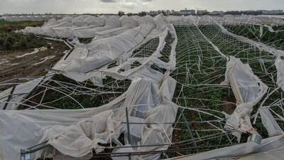 Antalya'da seraları hortum vurdu