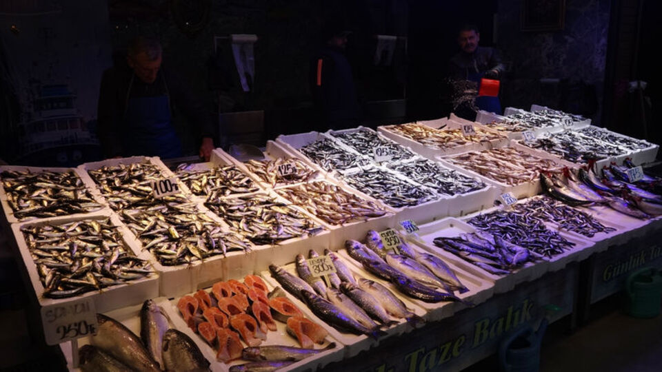 Karadeniz'de palamut bitti, hamsi tezgahı doldurdu