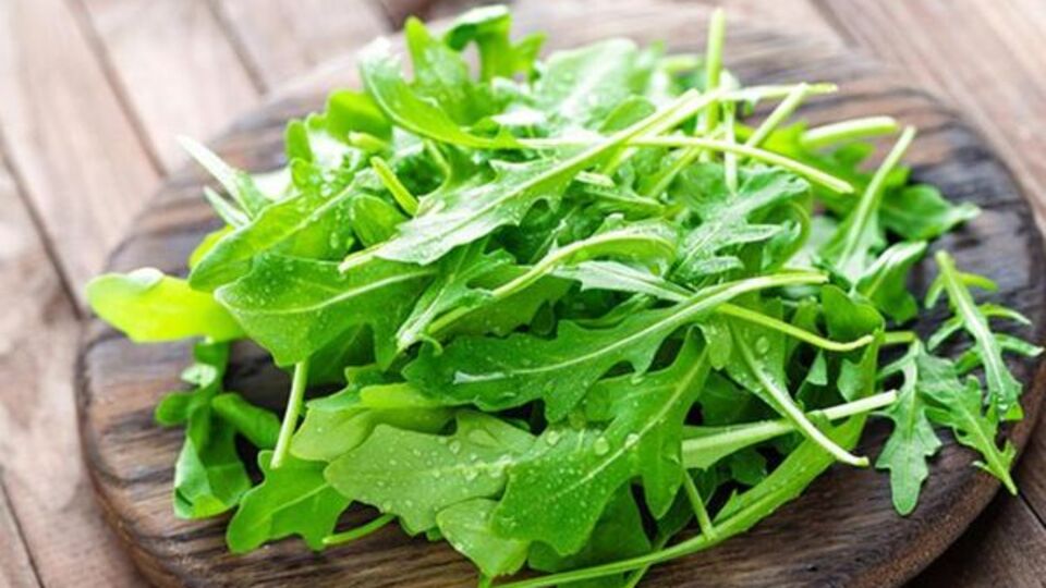 Rokanın saymakla bitmeyen faydaları