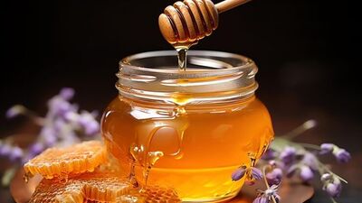 Şifa kaynağı çam balı faydaları