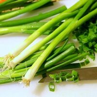 Yeşil soğanın şaşırtacak faydaları