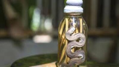 Yılan yağının sakala ve saça faydaları