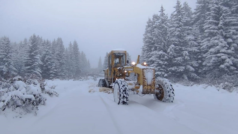 Ordu'da karda mahsur kalan 4 kişi aranıyor