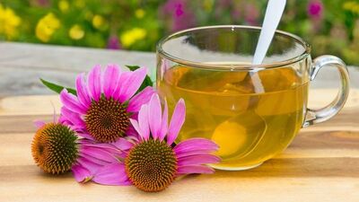 Ekinezya nedir, ne işe yarar?