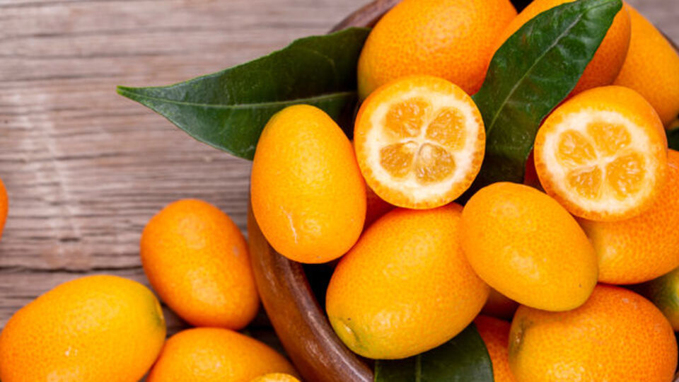 Kamkat meyvesi mucizevi faydaları