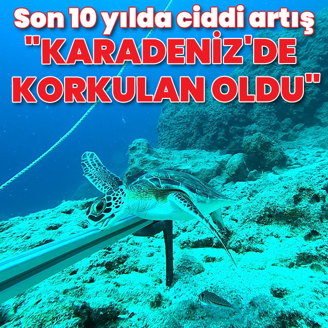 Son 10 yılda mikroplastik sayısında ciddi artış: "Karadeniz'de korkulan oldu"