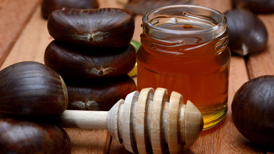 Kestane balı şaşırtan faydaları