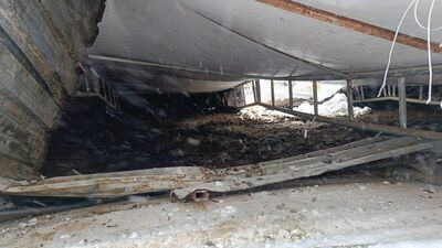 Kar kütlesi çatıyı çökertti: 20 küçükbaş öldü