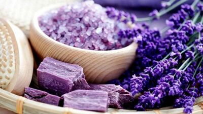 Lavantanın mucizevi faydaları