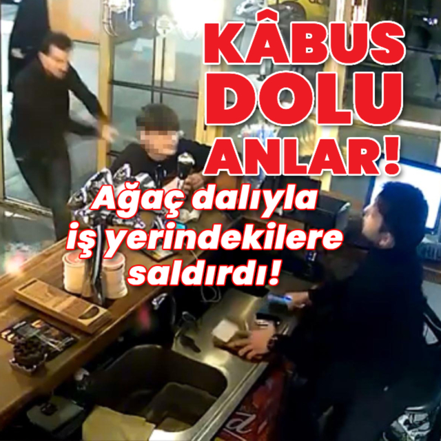Ağaç dalıyla iş yerindekilere saldırdı!