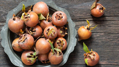 Muşmula nedir, ne işe yarar?