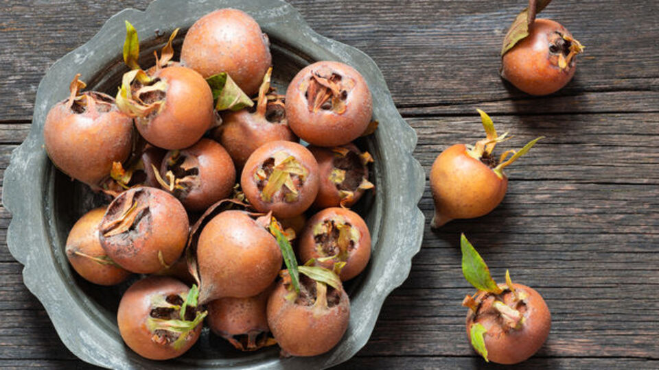 Muşmula nedir, ne işe yarar?