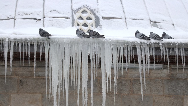 Havalar daha da soğuyacak! La Nina ile son 60 yılın en soğuk zamanları yaşanacak