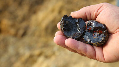 Kehribar taşının faydaları nelerdir?