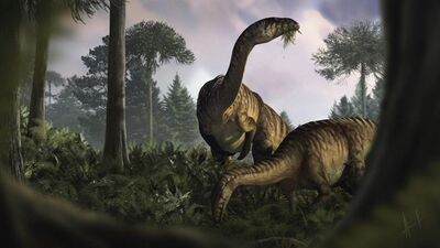 Hangi besinleri tükettikleri ortaya çıktı