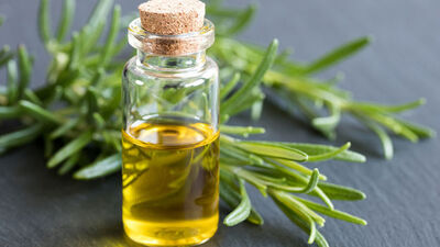 Biberiye çayının faydaları